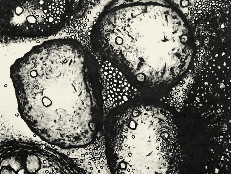Ausstellung Josef Wolf 2018
